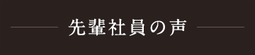 先輩社員の声